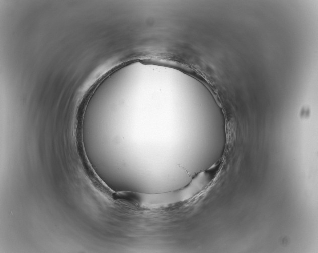 X0000093360150200711011214