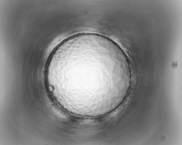 X0000093360151200711011214