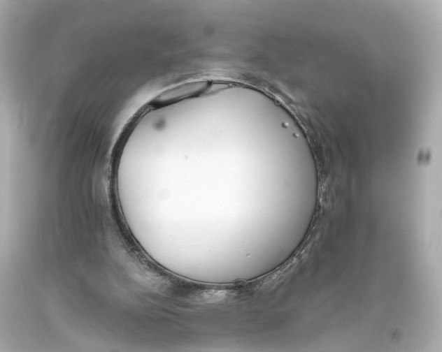 X0000093360152200711011214