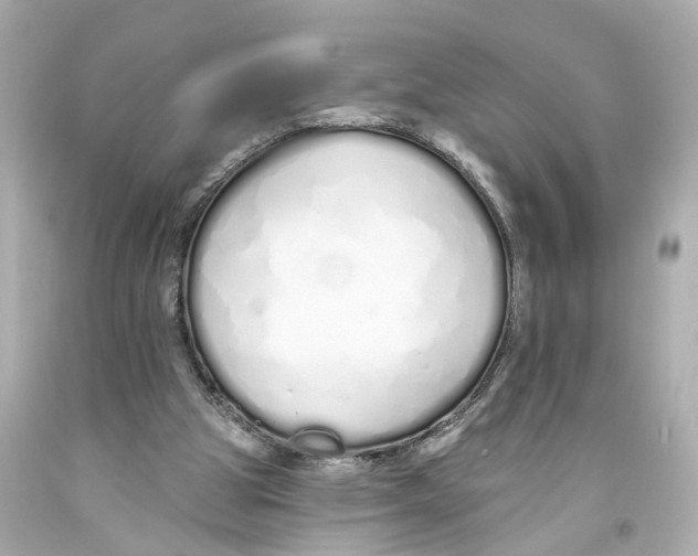 X0000093360153200711011214