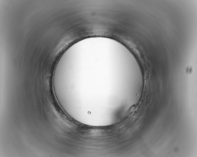 X0000093360154200711011214