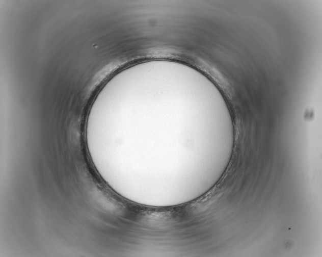 X0000093360155200711011214