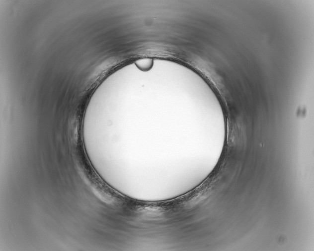 X0000093360157200711011214