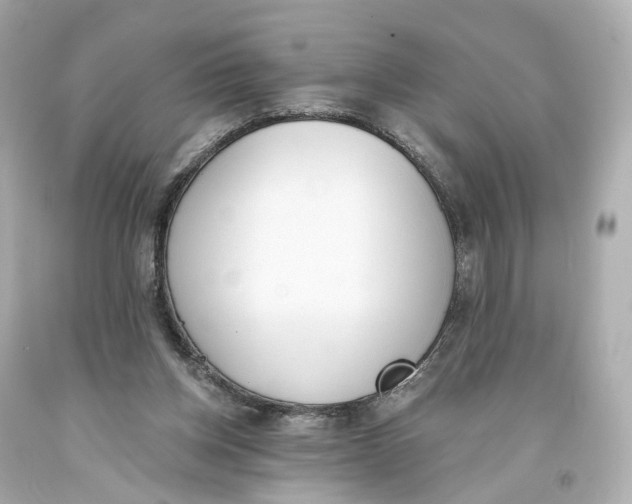 X0000093360158200711011214