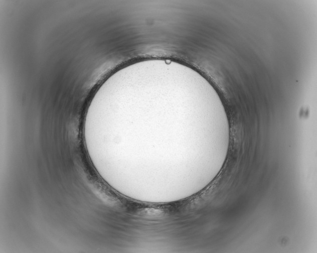 X0000093360159200711011214