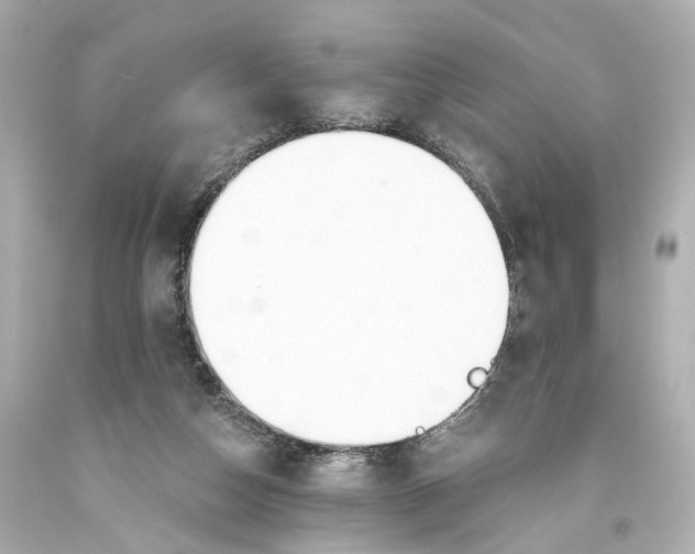 X0000093360162200711011214