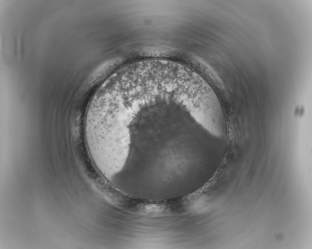 X0000093360163200711011214