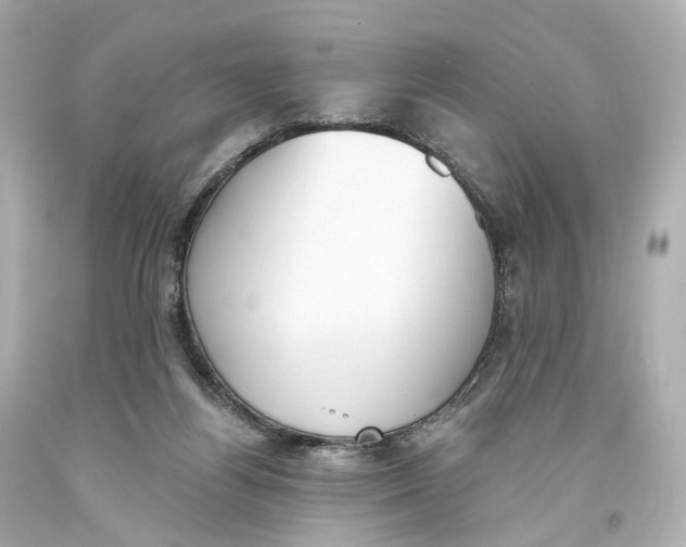 X0000093360164200711011214