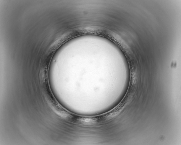 X0000093360165200711011214