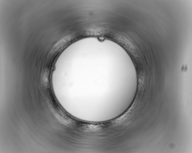 X0000093360166200711011214