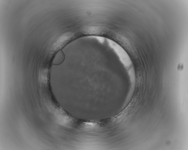 X0000093360167200711011214