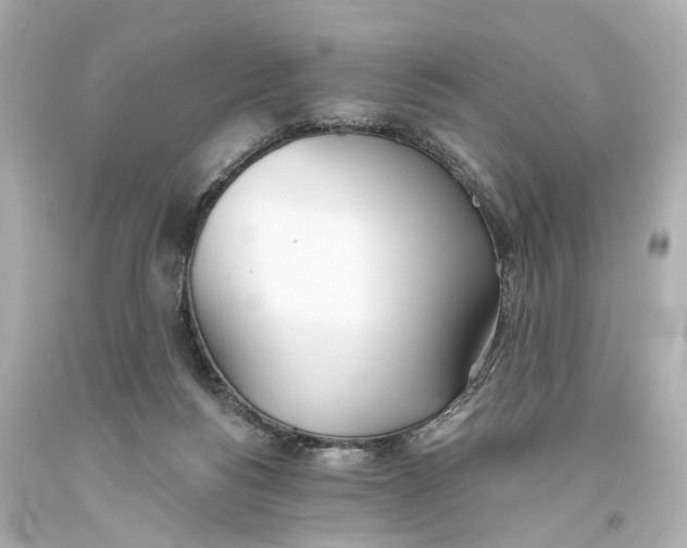 X0000093360168200711011214