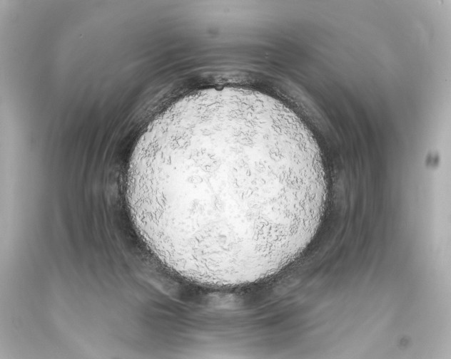 X0000093360169200711011214