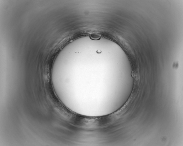 X0000093360170200711011214