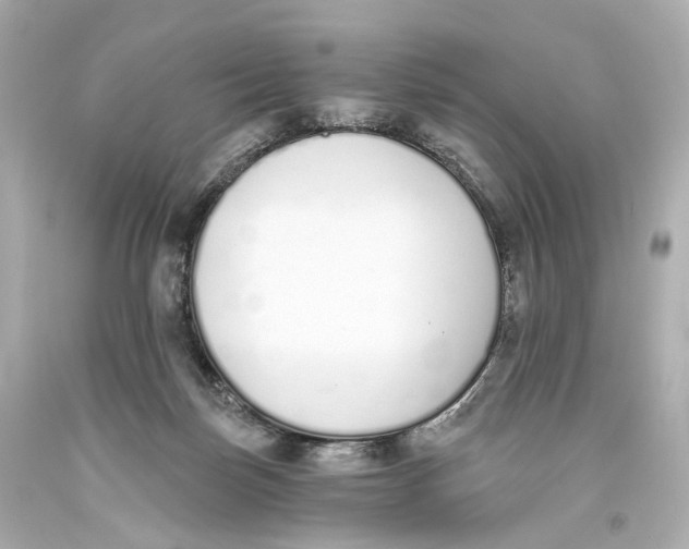 X0000093360171200711011214