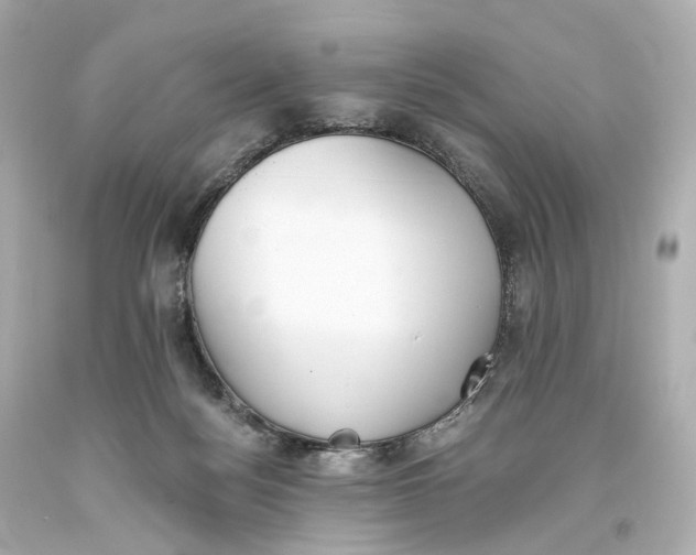 X0000093360172200711011214