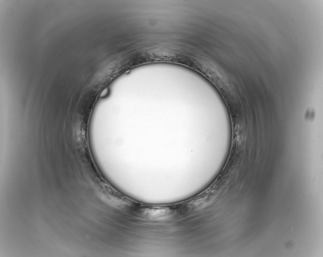 X0000093360173200711011214