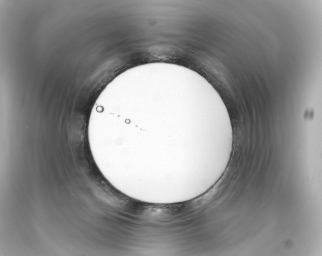 X0000093360174200711011214