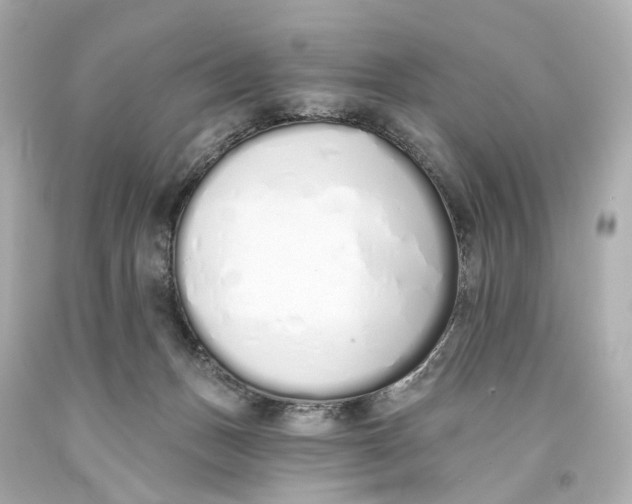 X0000093360175200711011214