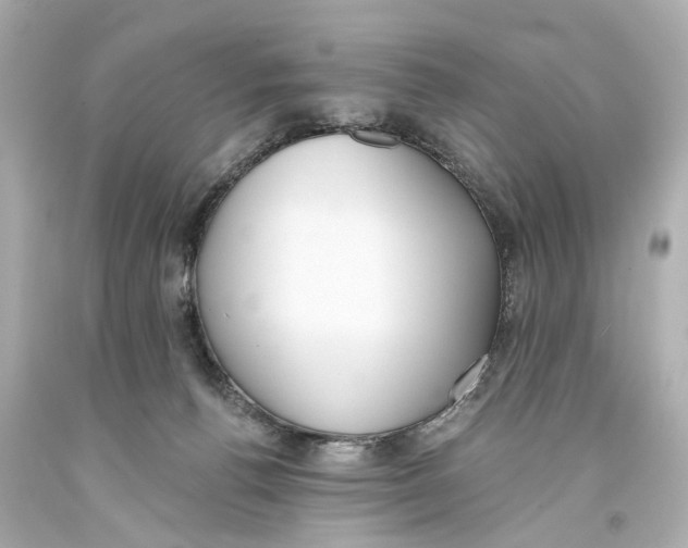 X0000093360176200711011215