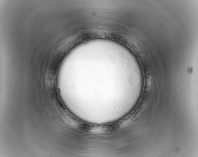 X0000093360177200711011215