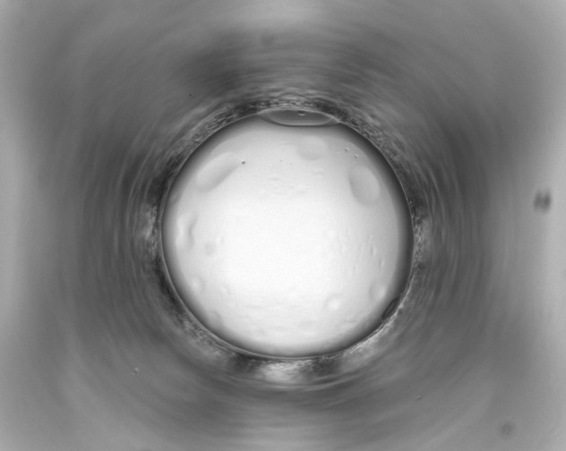 X0000093360178200711011215