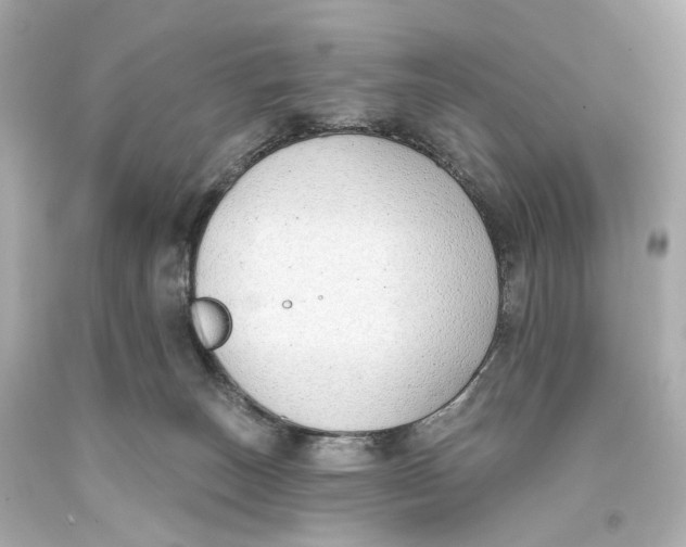 X0000093360179200711011215