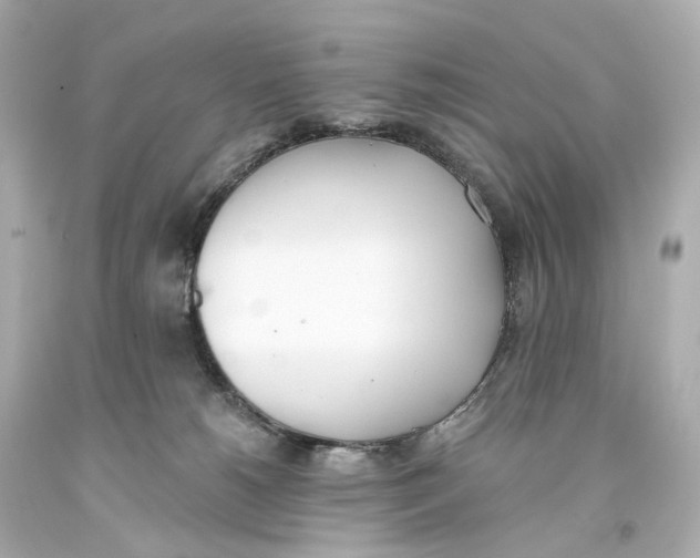 X0000093360180200711011215