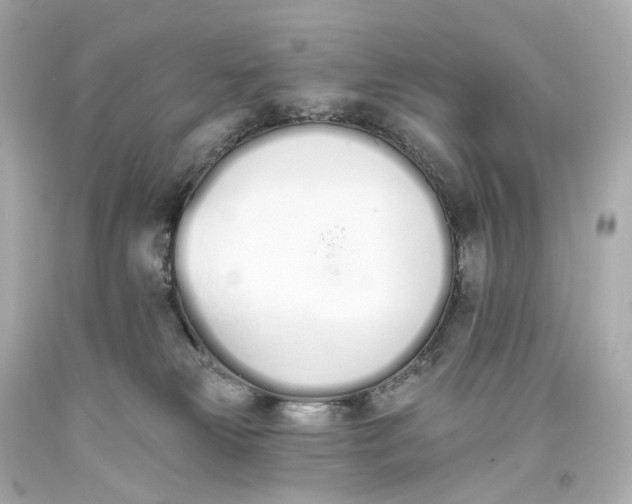 X0000093360181200711011215