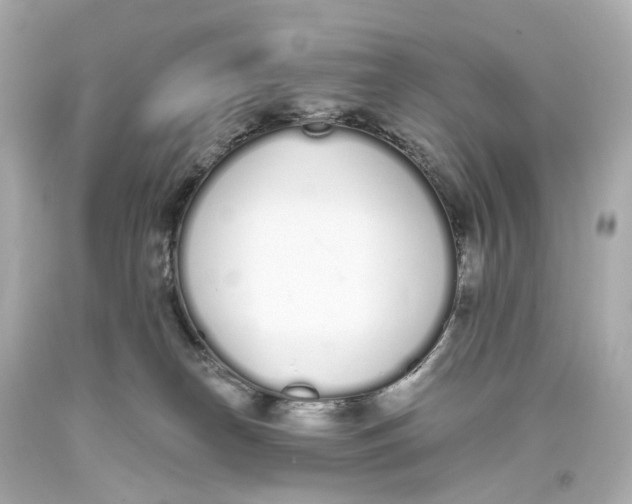 X0000093360182200711011215