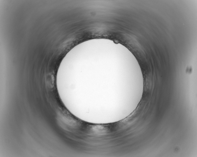 X0000093360183200711011215