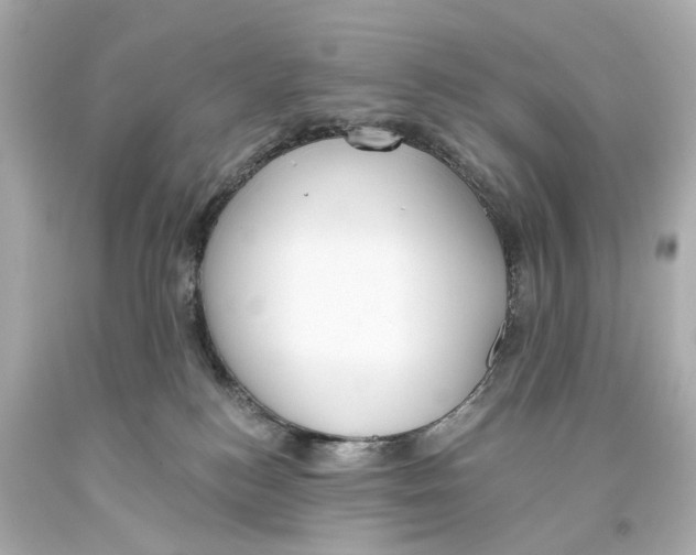 X0000093360184200711011215