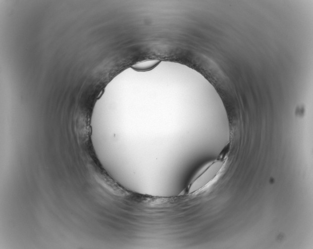 X0000093360186200711011215