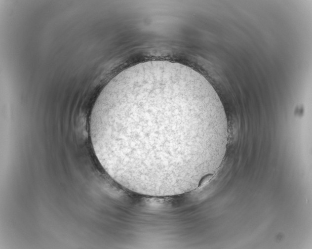 X0000093360187200711011215