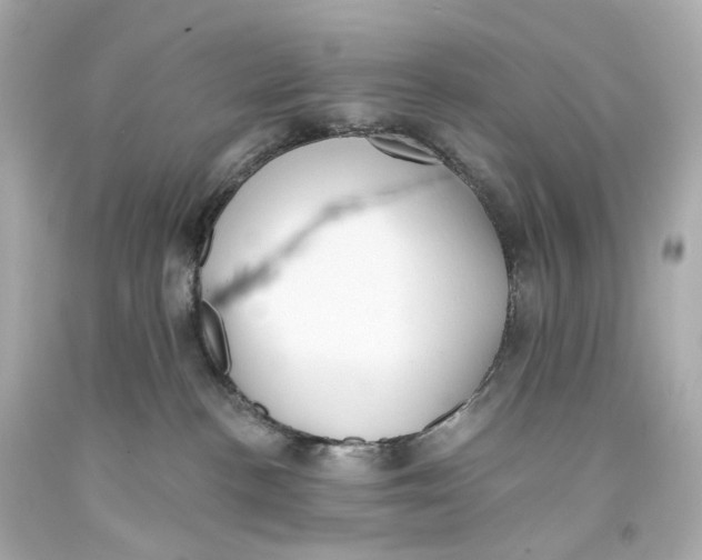 X0000093360188200711011215