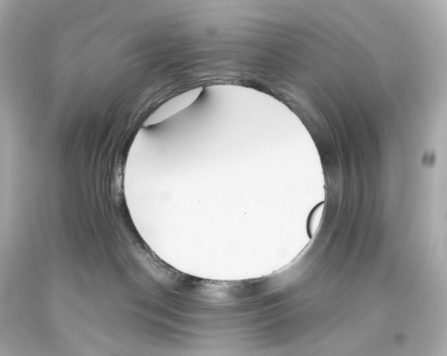 X0000093360190200711011215