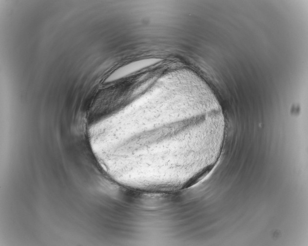 X0000093360191200711011215