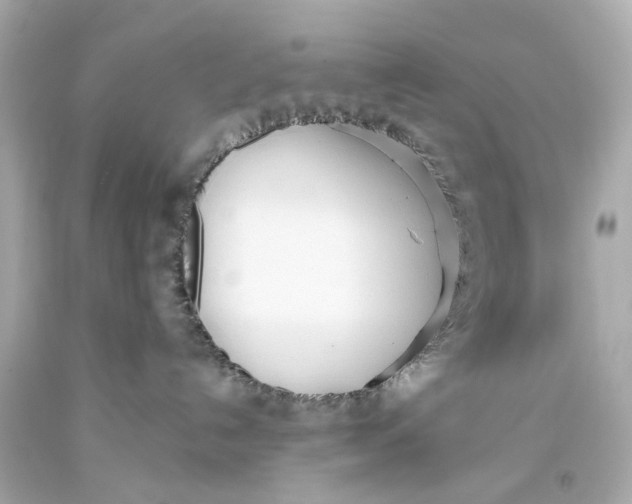 X0000093360192200711011215