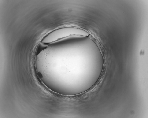 X0000093360193200711011214