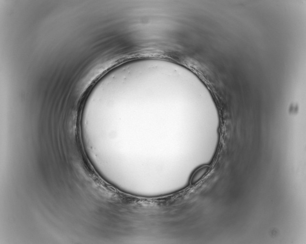 X0000093360194200711011214