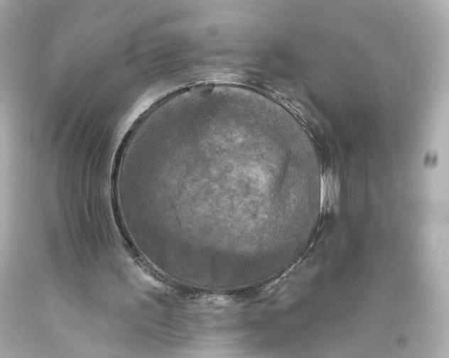 X0000093360195200711011214