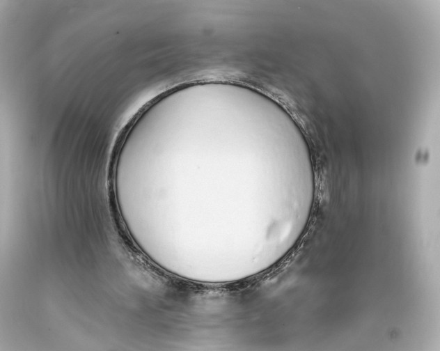 X0000093360196200711011214