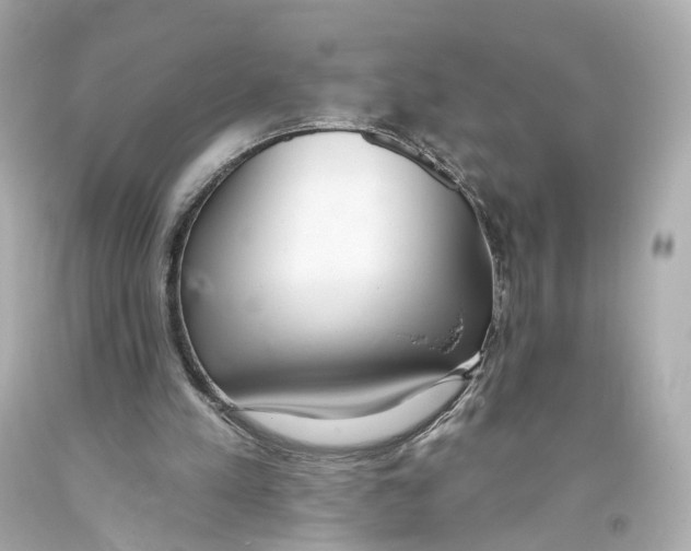 X0000093360197200711011214