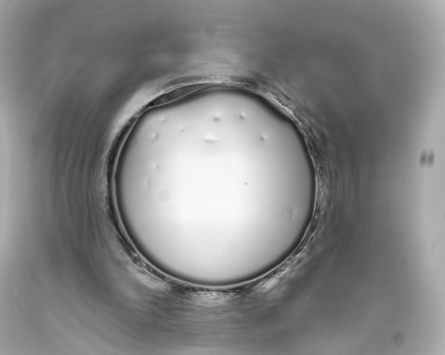 X0000093360198200711011214