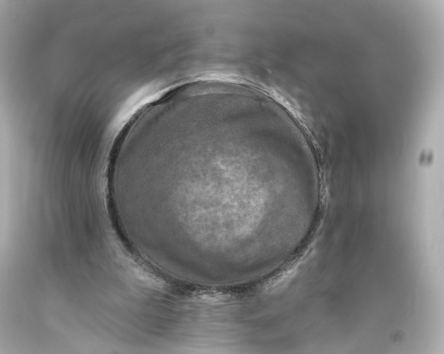 X0000093360199200711011214