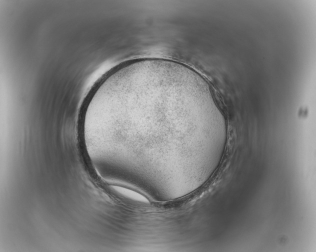 X0000093360200200711011214