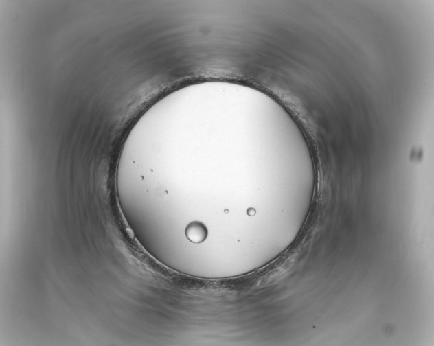 X0000093360201200711011214