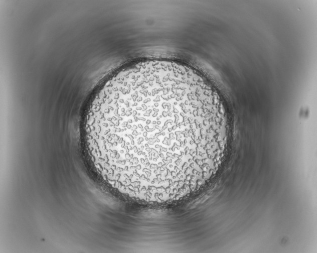 X0000093360202200711011214