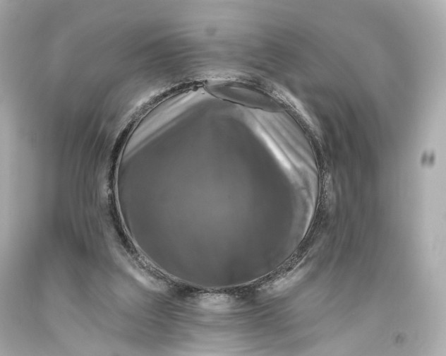 X0000093360203200711011214