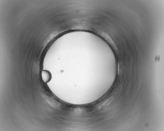 X0000093360204200711011214